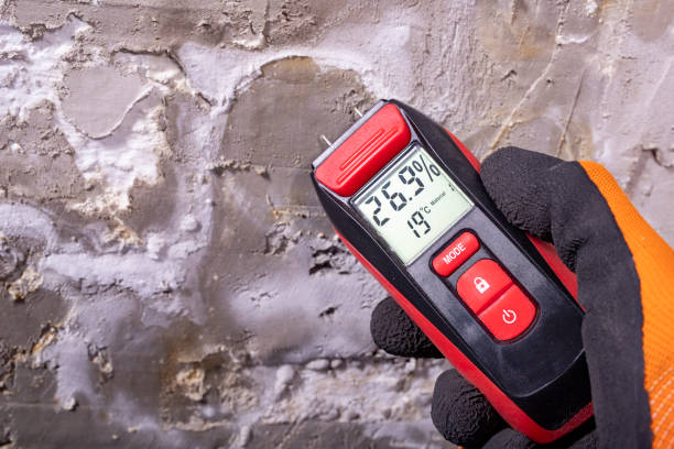 Mold Removal and Inspection in Port St Lucie, FL