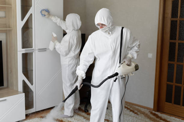 Trusted Port St Lucie, FL Mold Removal Experts